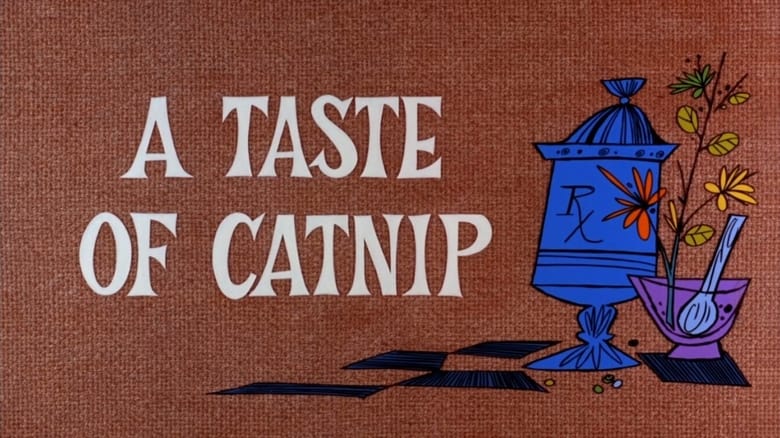 кадр из фильма A Taste of Catnip