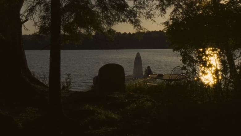 кадр из фильма Соколиное озеро