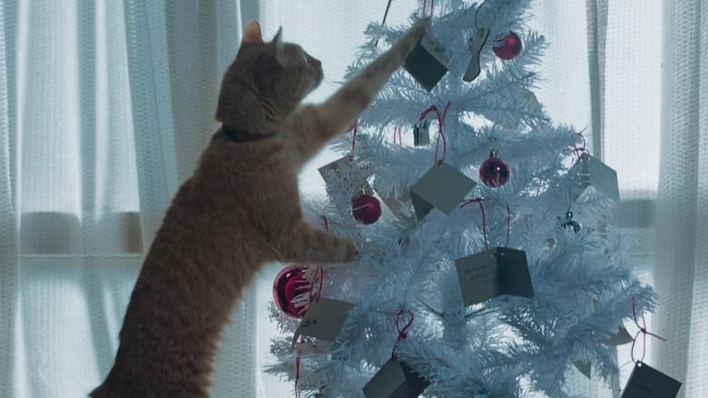кадр из фильма Рождество кота Боба