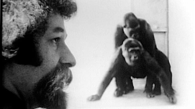 кадр из фильма Primate