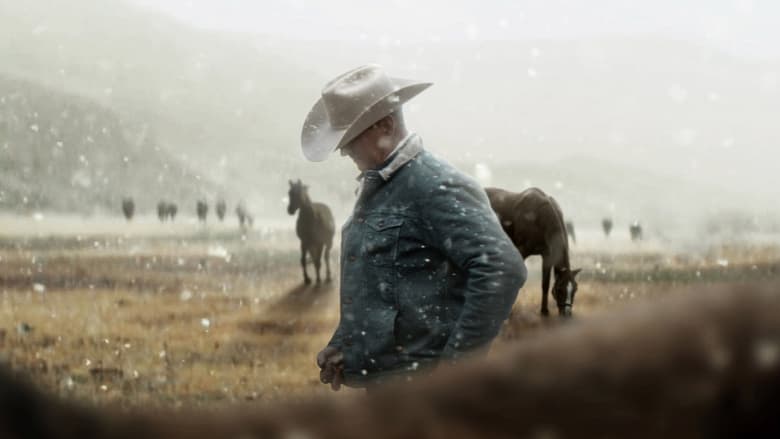 кадр из фильма My Heroes Were Cowboys