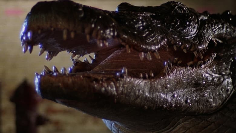кадр из фильма Аллигатор