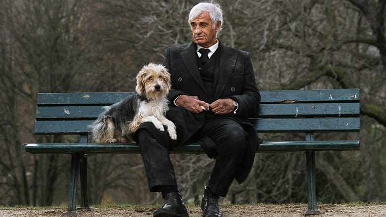 кадр из фильма Человек и его собака