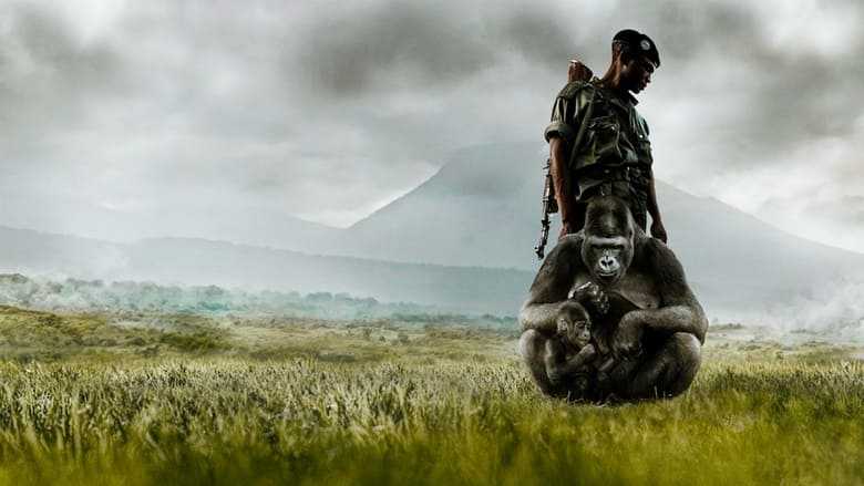 кадр из фильма Virunga