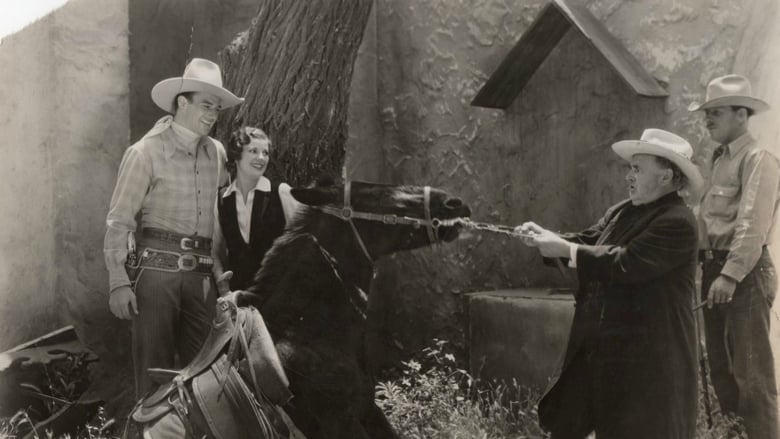 кадр из фильма Ride Him, Cowboy