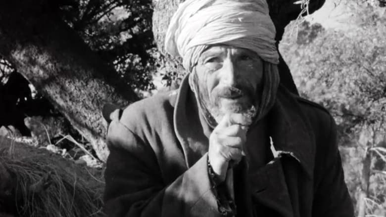 кадр из фильма Algérie, année zéro