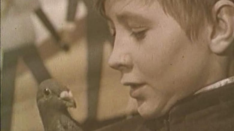 кадр из фильма Мальчик и голубь