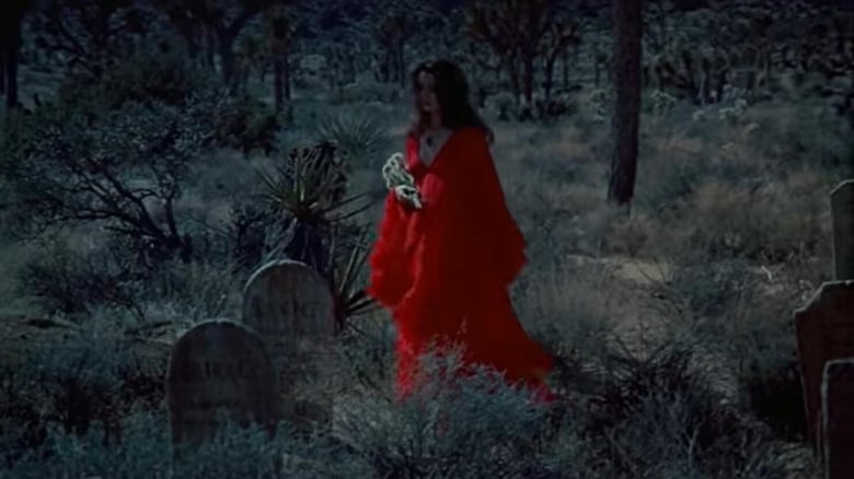 кадр из фильма The Velvet Vampire