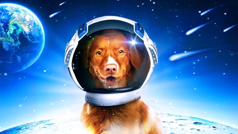 кадр из фильма My Dog the Space Traveler