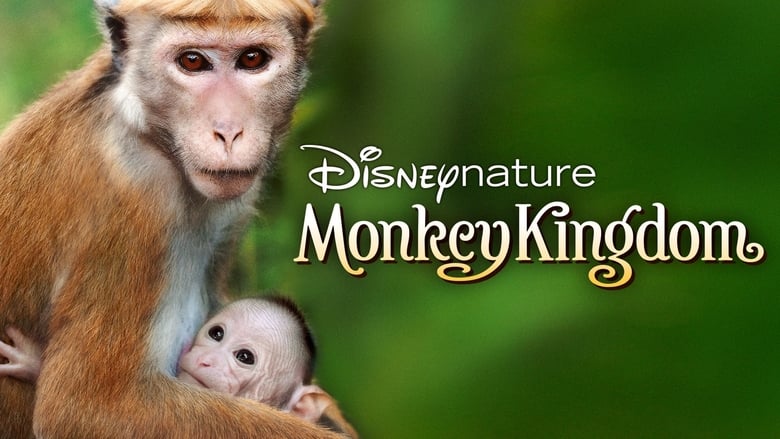 кадр из фильма Королевство обезьян