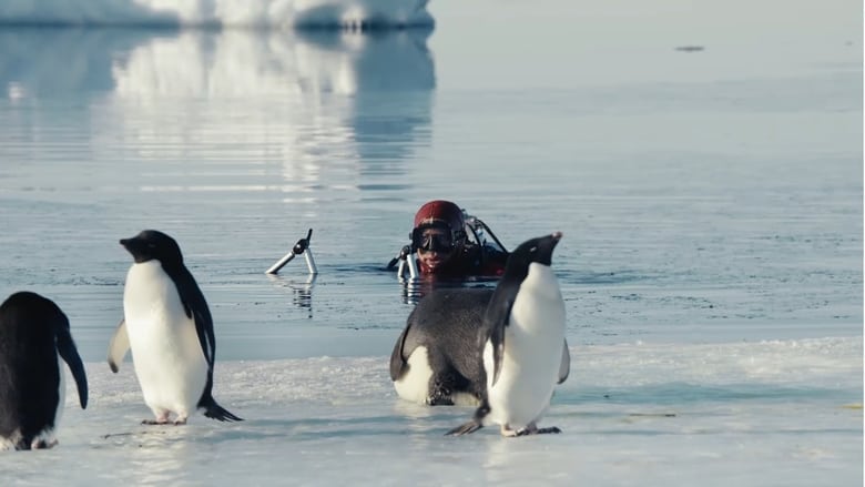 кадр из фильма Antarctica, sur les traces de l'empereur