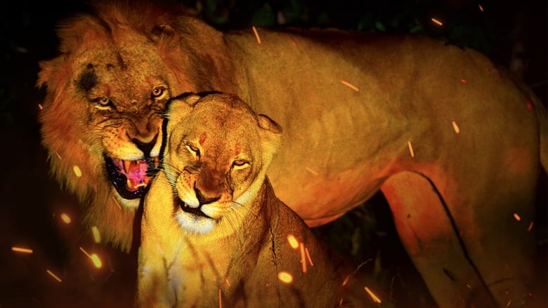 кадр из фильма Game of Lions