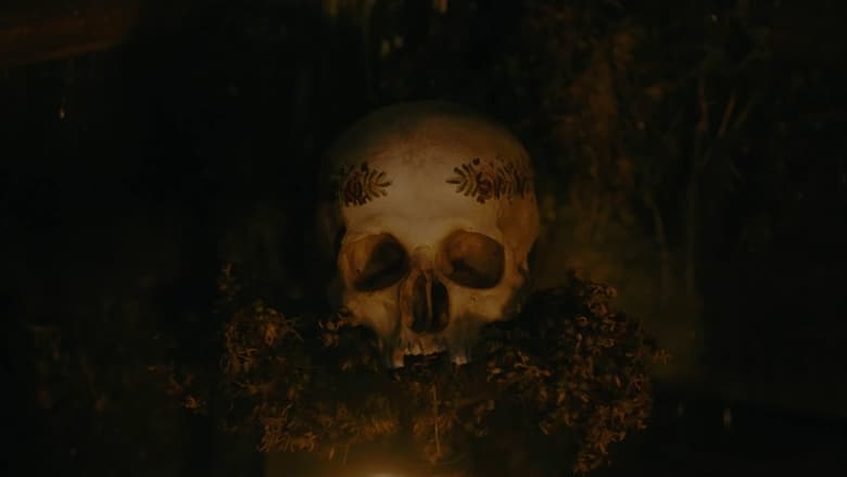 кадр из фильма Ведьмы