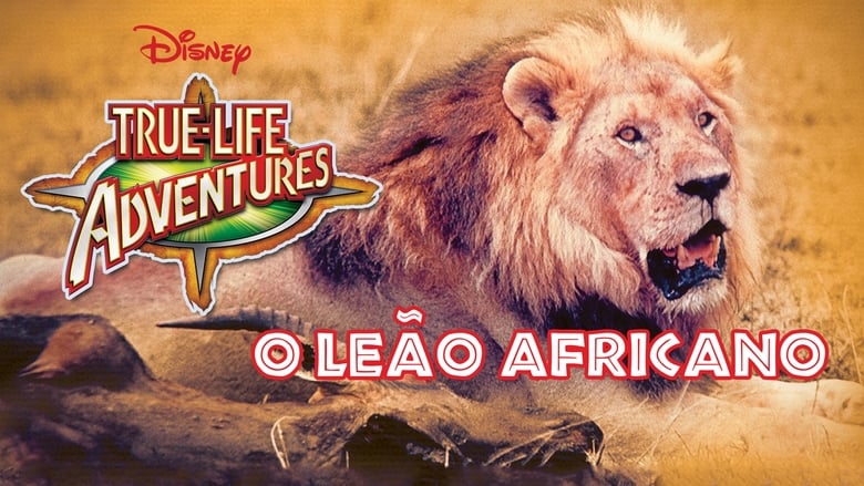 кадр из фильма The African Lion