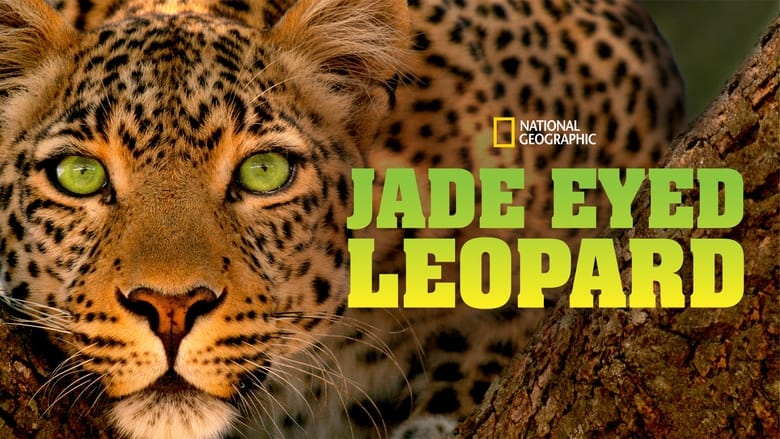 кадр из фильма Jade Eyed Leopard