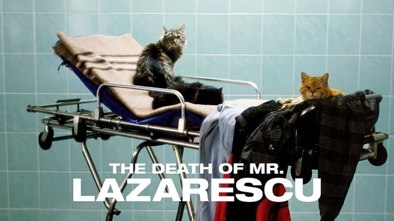 кадр из фильма Смерть господина Лазареску