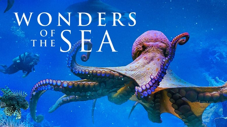 кадр из фильма Чудеса моря 3D
