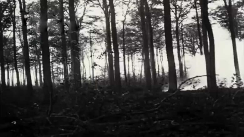 кадр из фильма Bei unseren Helden an der Somme