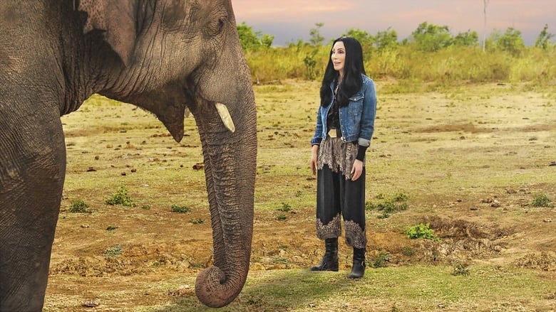 кадр из фильма Cher & the Loneliest Elephant