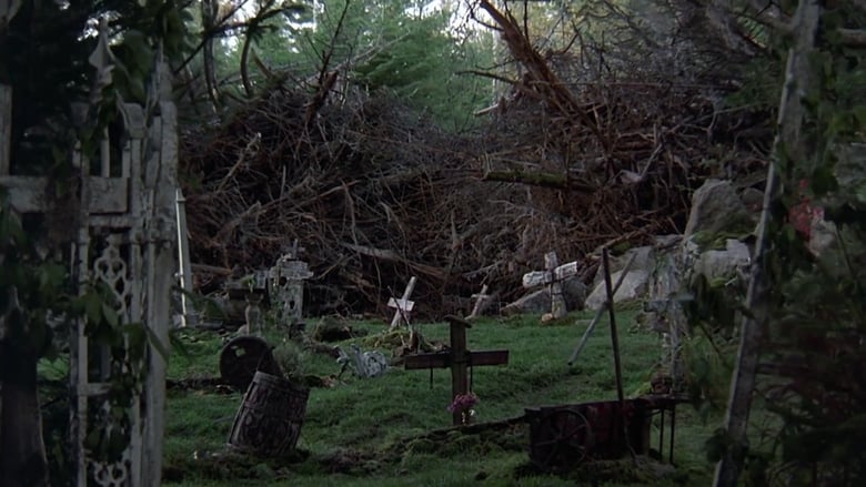 кадр из фильма Кладбище домашних животных