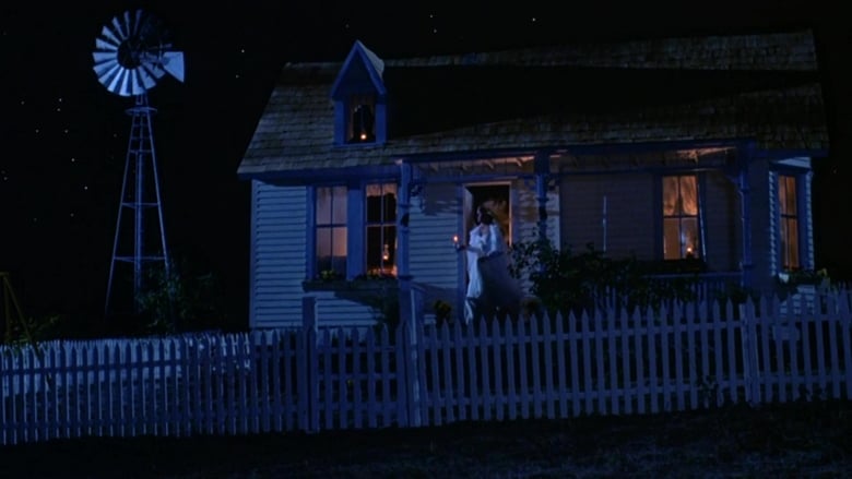 кадр из фильма Леди в белом