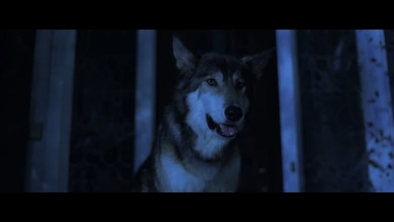 кадр из фильма Lycan