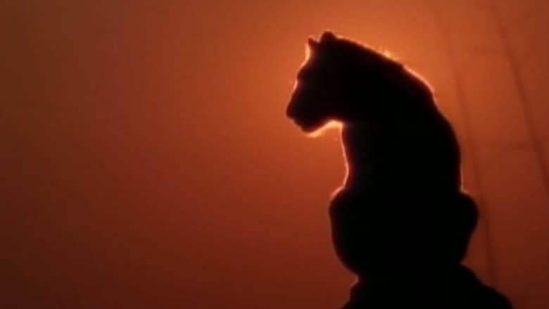 кадр из фильма Lions Of Darkness