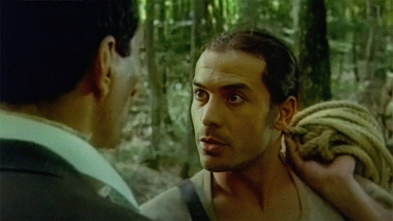 кадр из фильма Avcı