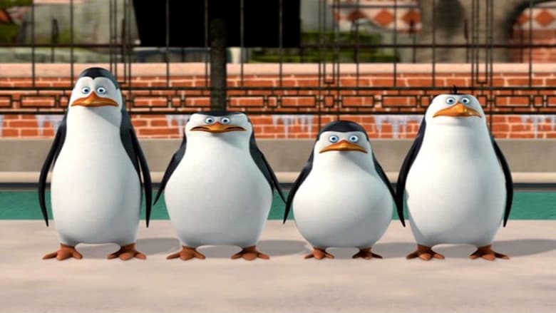 кадр из фильма The Penguins of Madagascar: New to the Zoo