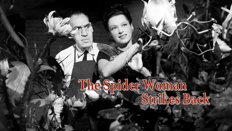 кадр из фильма The Spider Woman Strikes Back