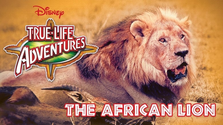кадр из фильма The African Lion