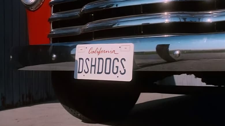 кадр из фильма Dish Dogs