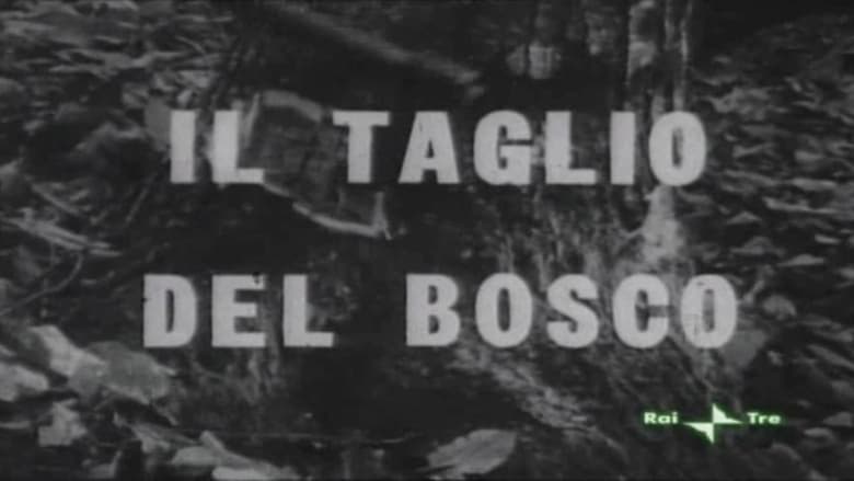 кадр из фильма Il taglio del bosco
