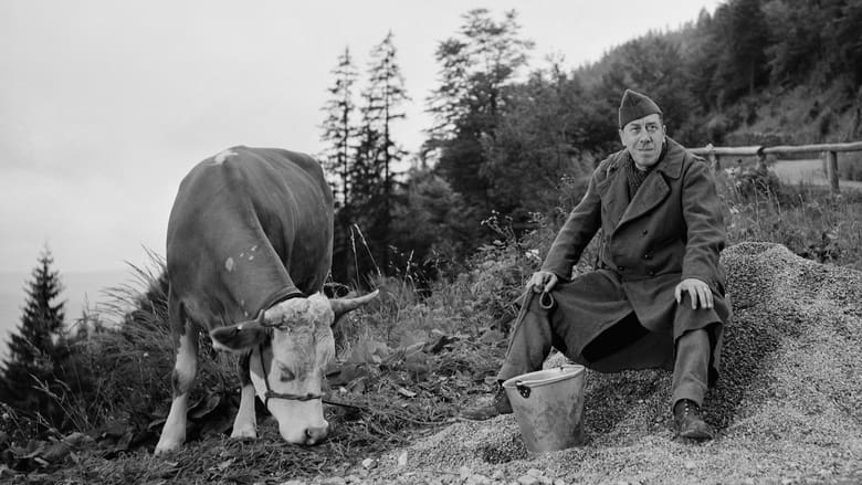 кадр из фильма Корова и солдат