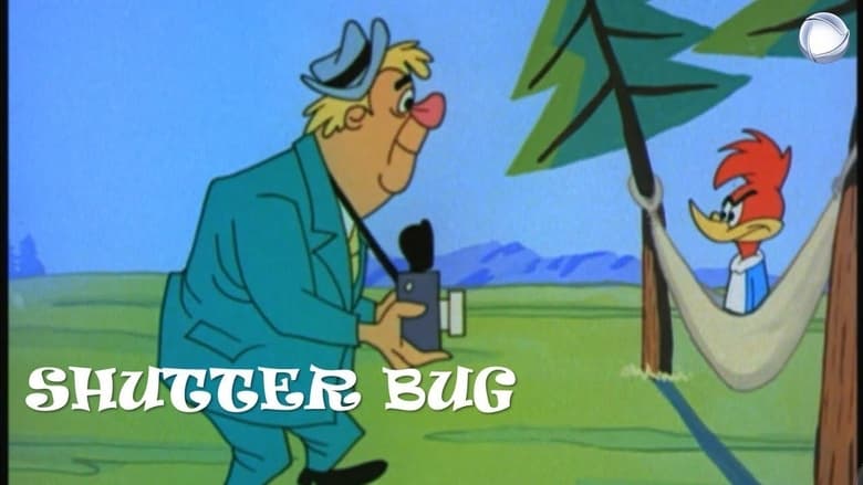 Shutter Bug