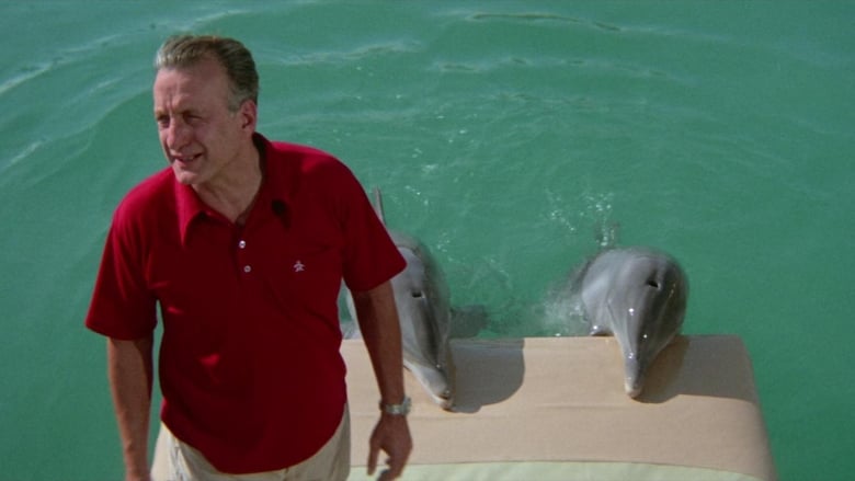 кадр из фильма День дельфина