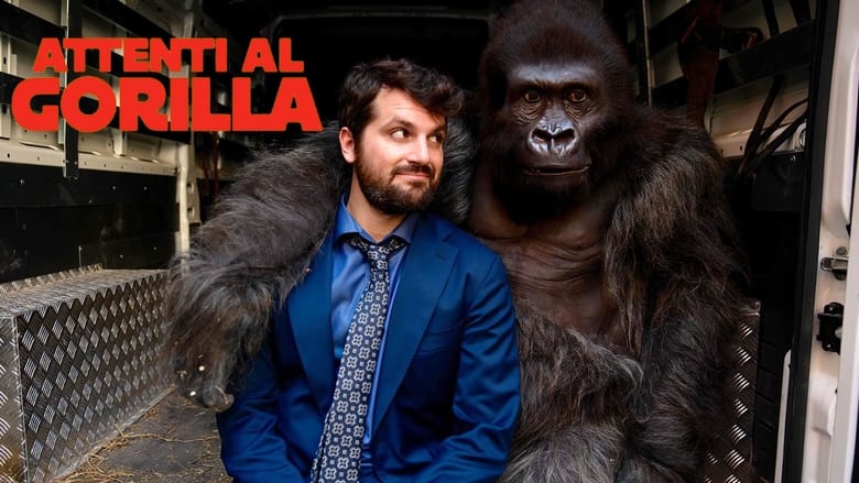 кадр из фильма Attenti al gorilla