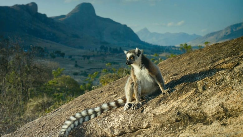 кадр из фильма Остров лемуров: Мадагаскар