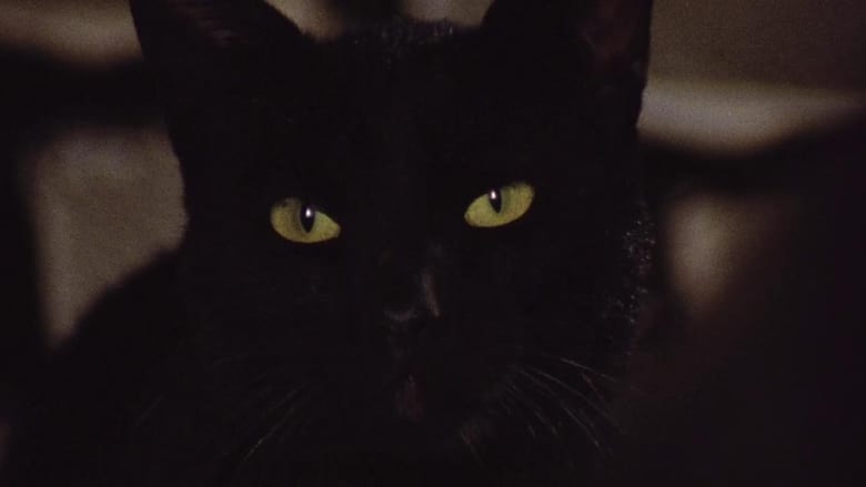 кадр из фильма The Black Cat