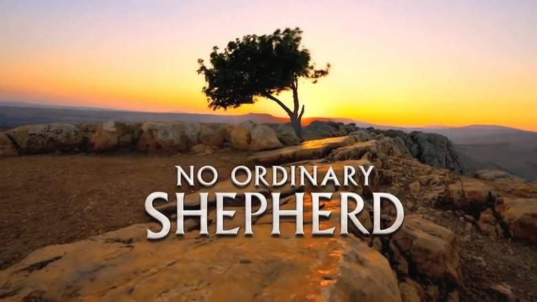 кадр из фильма No Ordinary Shepherd