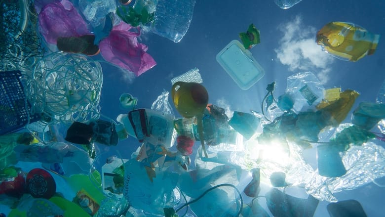 кадр из фильма Пластиковый океан