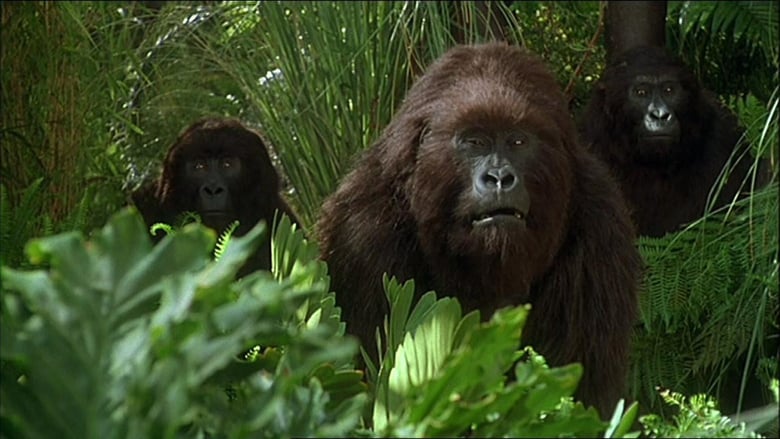 кадр из фильма Конго