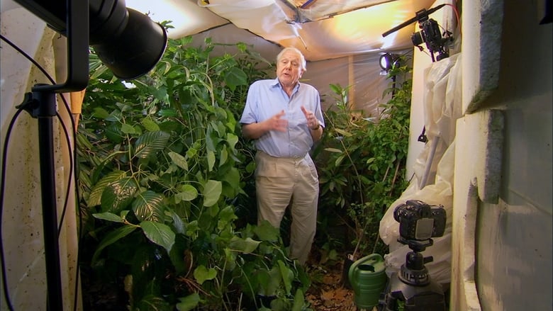 кадр из фильма Attenborough: 60 Years in the Wild