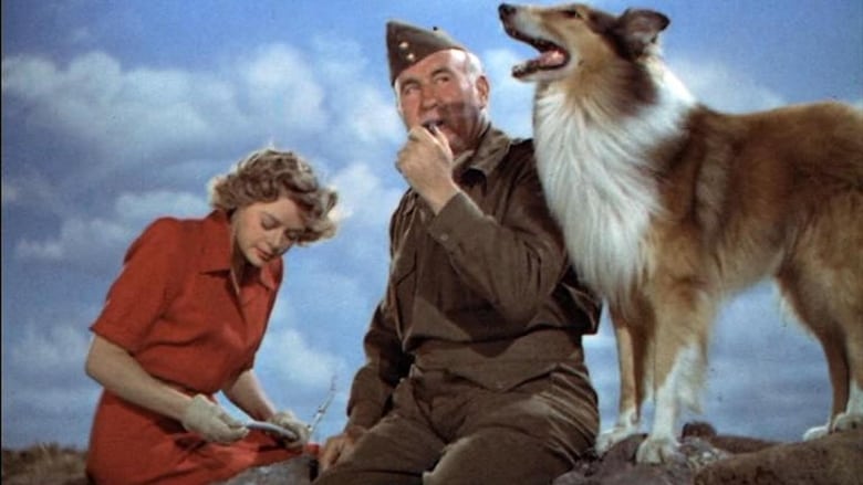 кадр из фильма Son of Lassie