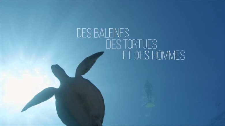 кадр из фильма Des baleines, des tortues et des hommes