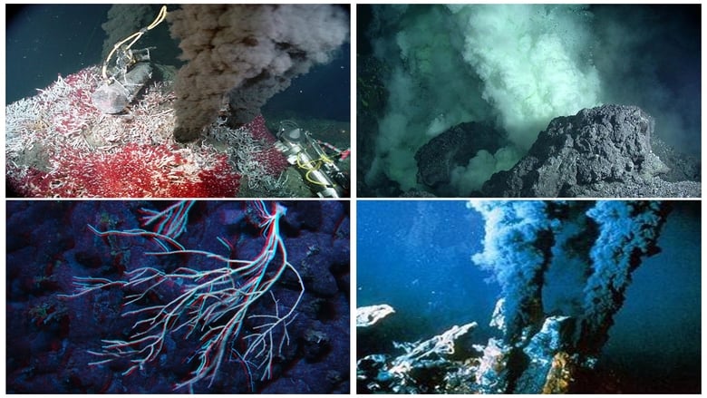 кадр из фильма Volcanoes of the Deep Sea