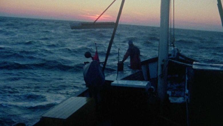 кадр из фильма Fårödokument 1979