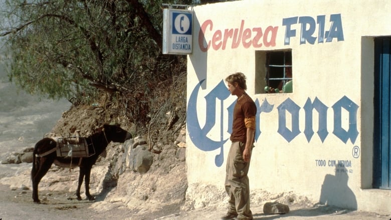 кадр из фильма Мексиканец