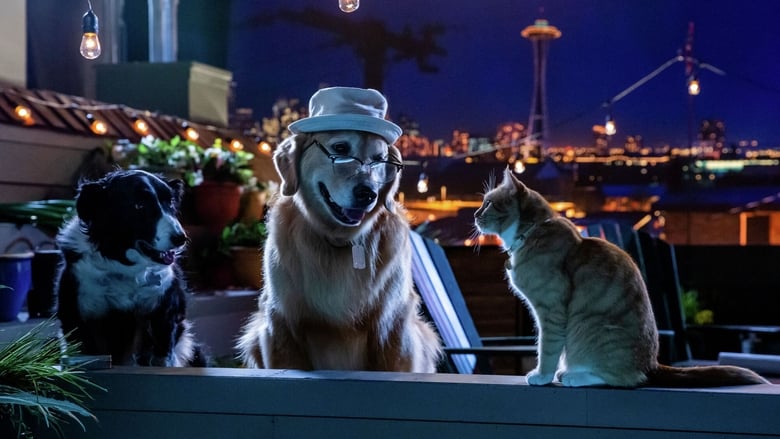 кадр из фильма Кошки против собак 3: Лапы, объединяйтесь