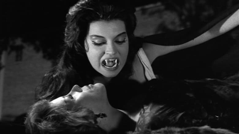 Santo vs. las mujeres vampiro